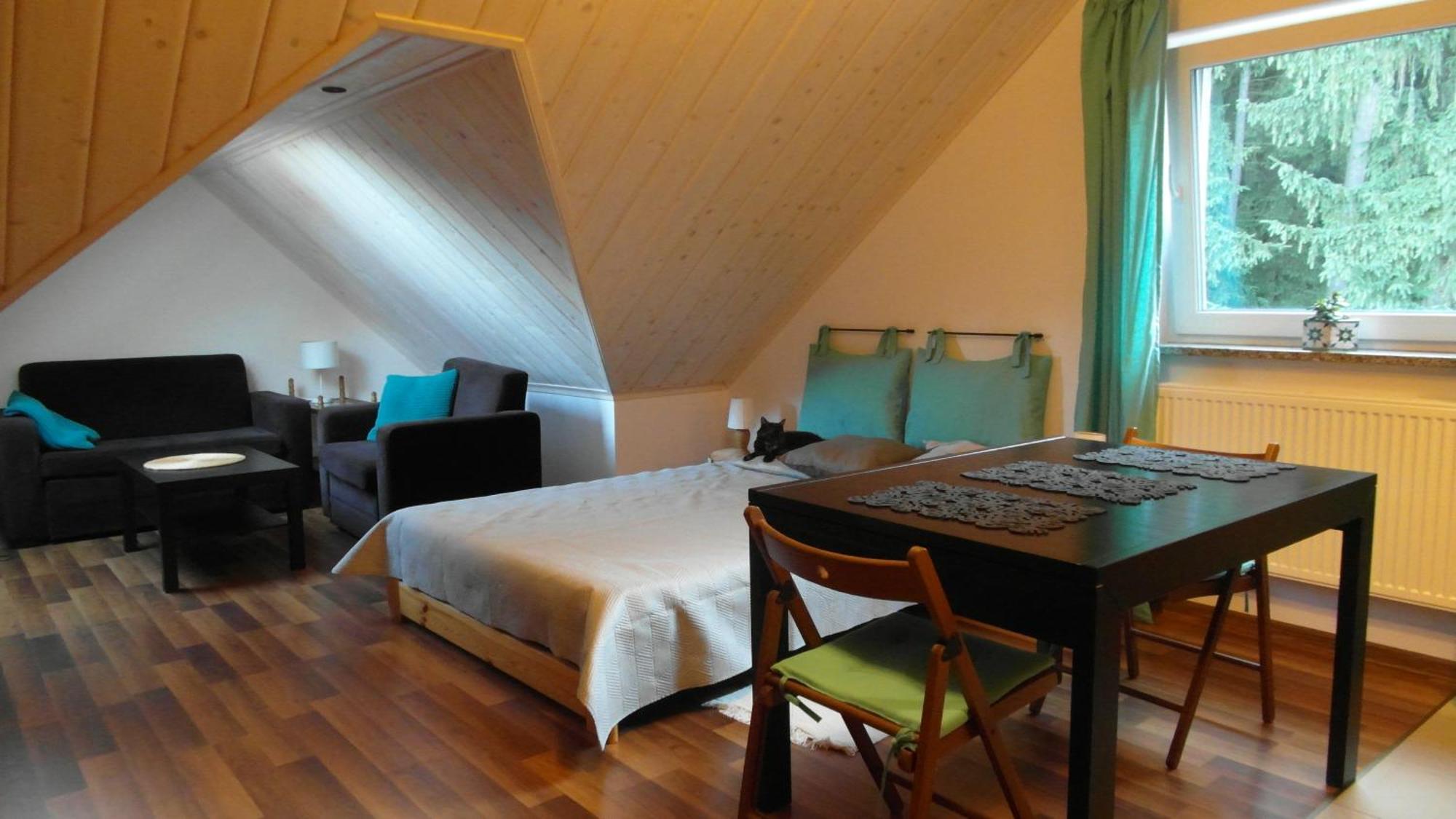 Nasze Gorskie Apartment