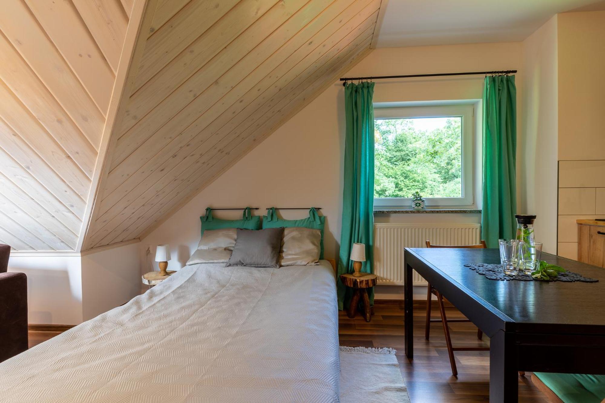 Apartment Nasze Gorskie