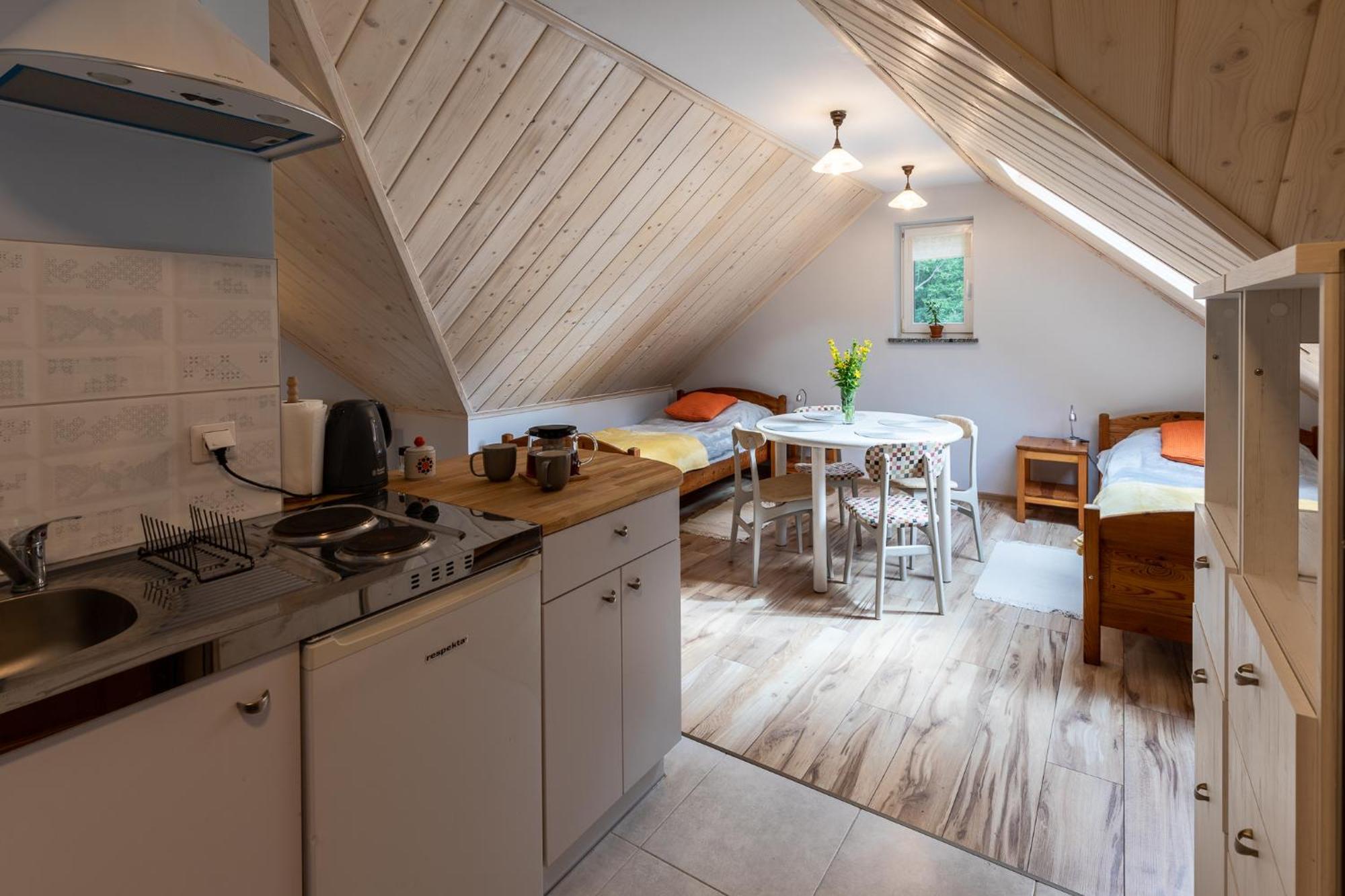 Apartment Nasze Gorskie *